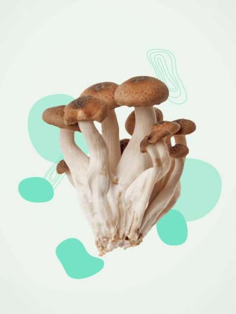 Image alt text here